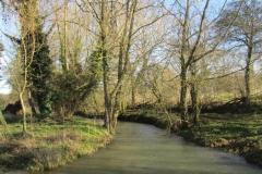 South Newington 16