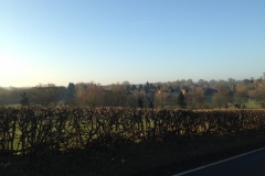 South Newington 30