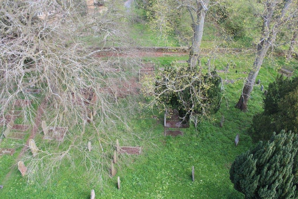 Birds-eye view of graveyard through some branches