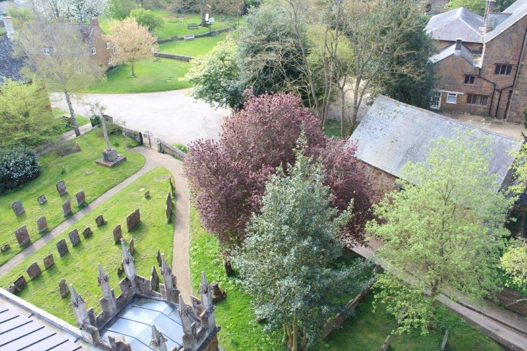 Birds-eye view of some trees, some houses, and a graveyard.