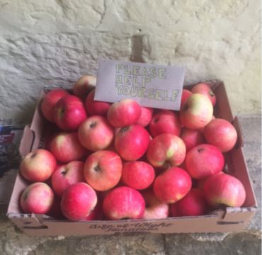 A box of apples and a notice reading 'Please help yourself'